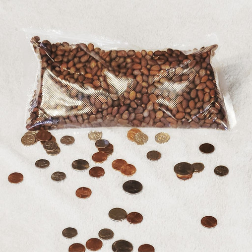 New mexico piñon pine nuts - mexico,